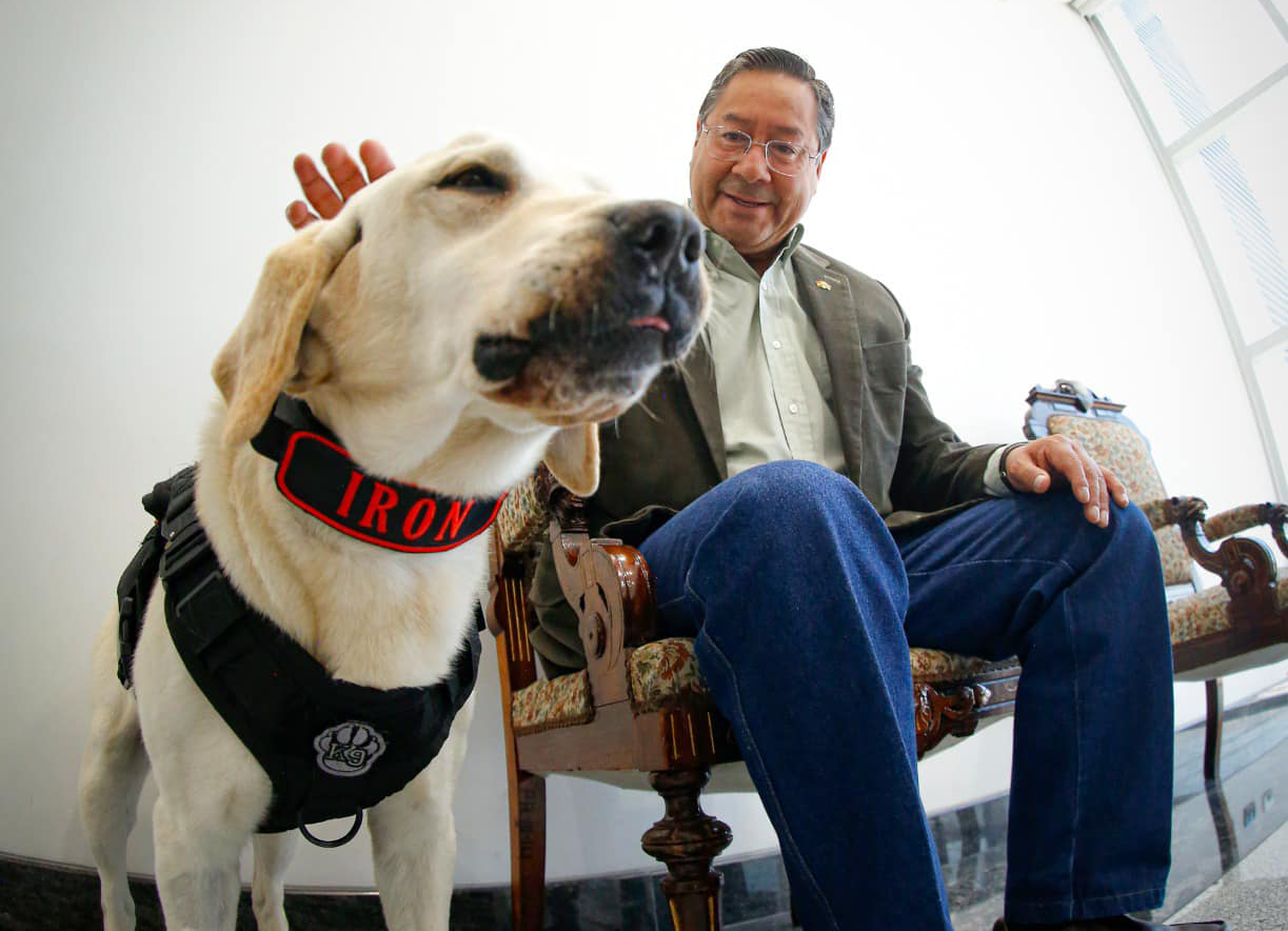 En el Día de San Roque el presidente Arce llama a adoptar un perrito y darle amor y cobijo 