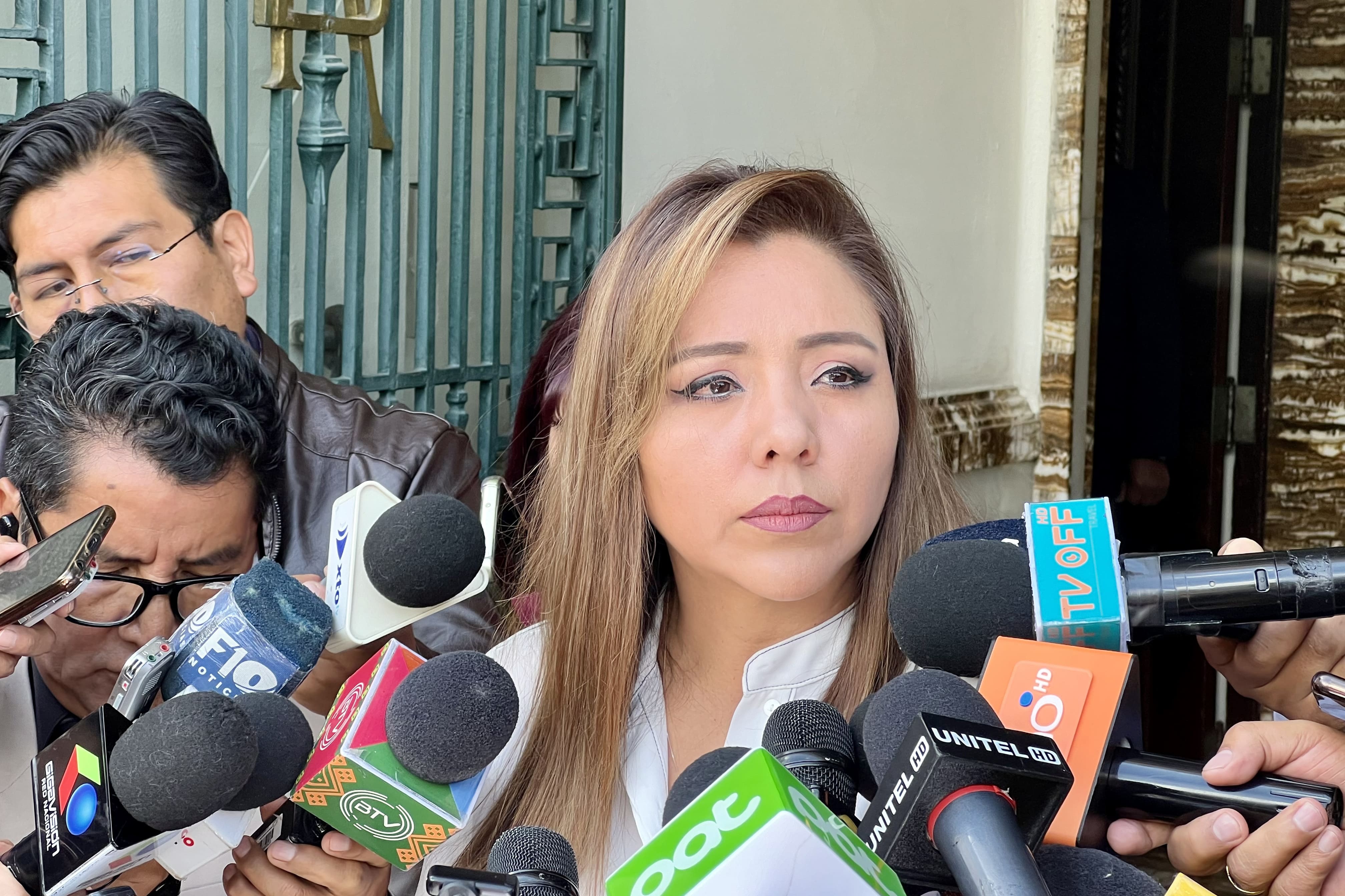 VICEMINISTRA GABRIELA ALCÓN LLAMA A LA ALP A AGILIZAR LAS ELECCIONES JUDICIALES